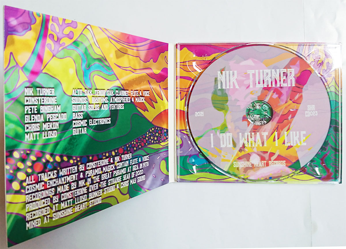 NIK TURNER / I DO WHAT I LIKE