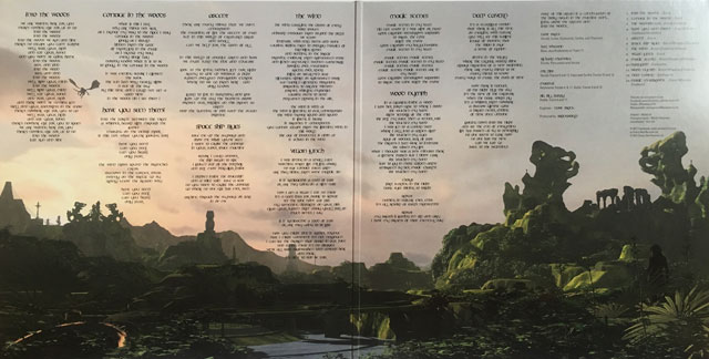 HAWKWIND INTO THE WOODS