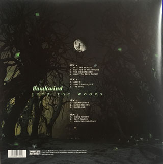 HAWKWIND INTO THE WOODS